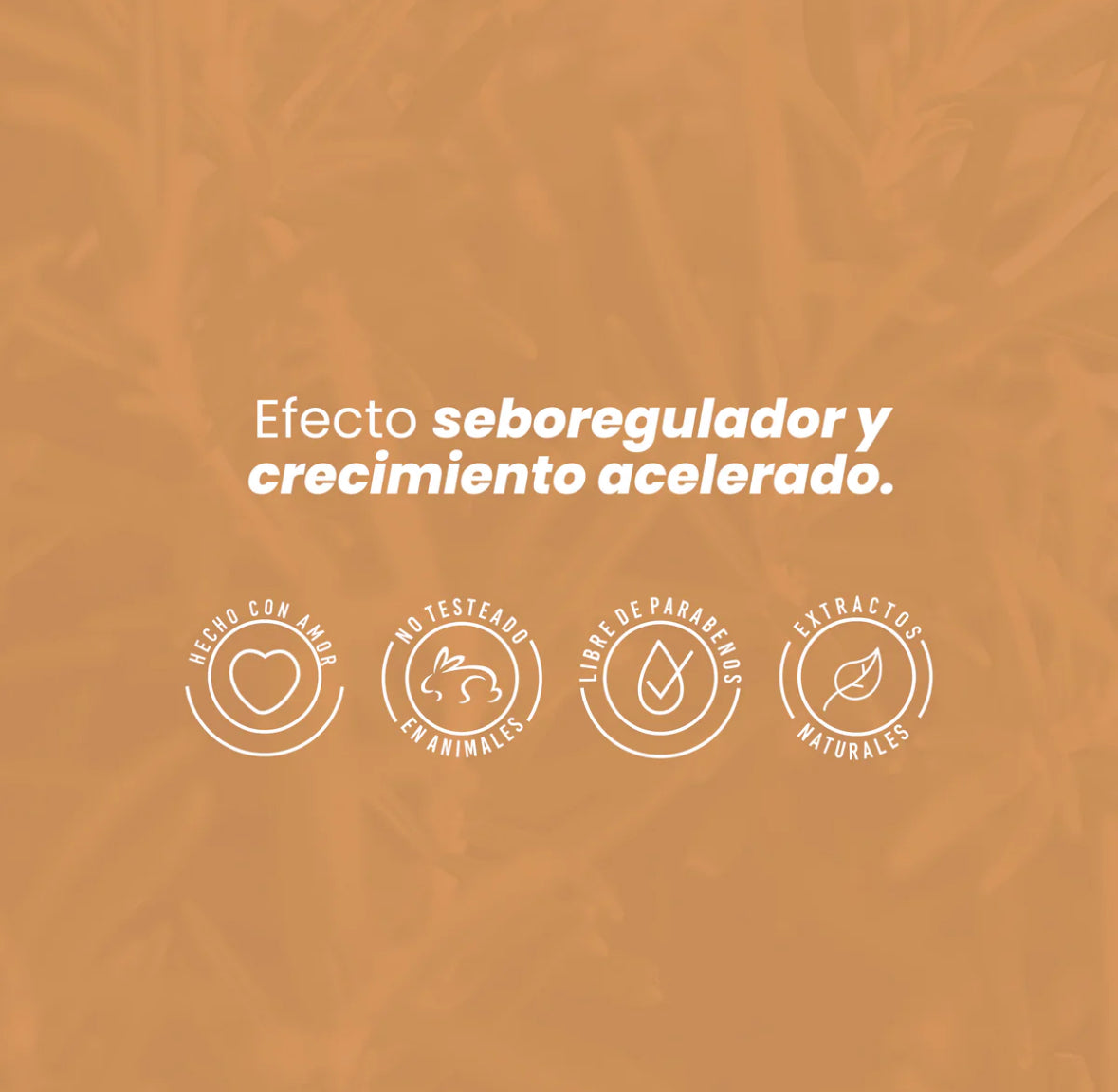 Potencializador de romero