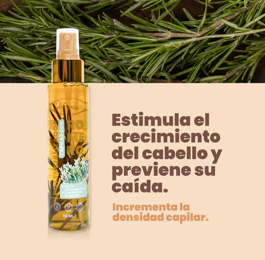 Potencializador de romero