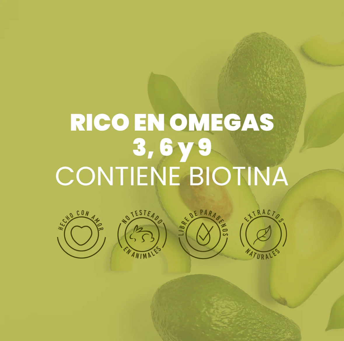 SHAMPOO DE AGUACATE