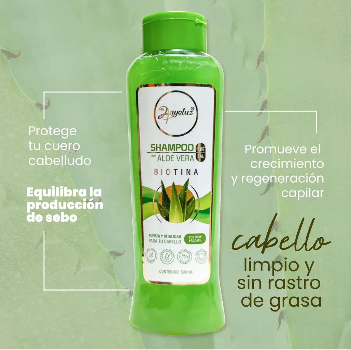 SHAMPOO DE ALOE VERA