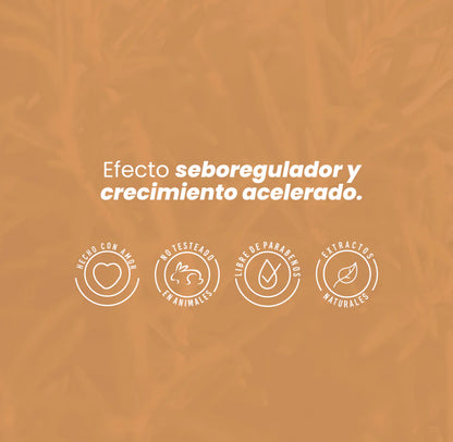 Potencializador de romero