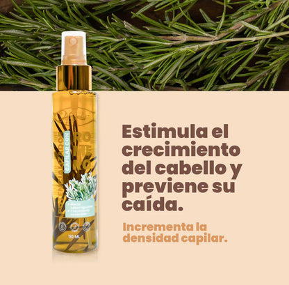 Potencializador de romero