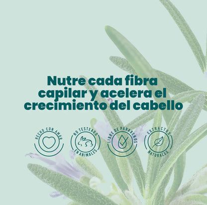 ACONDICIONADOR DE ROMERO