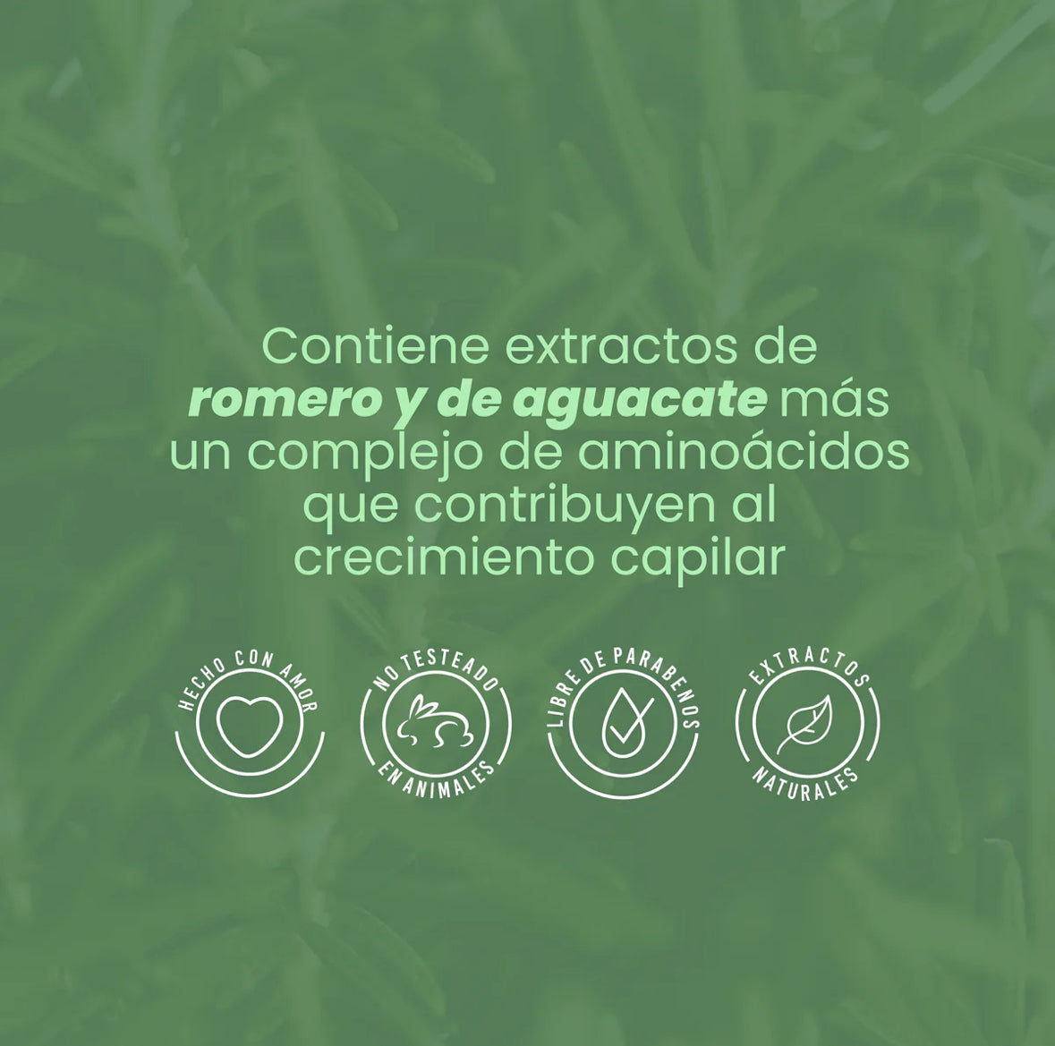 BIOTERAPIA CAPILAR CON ROMERO Y BIOELIXIR