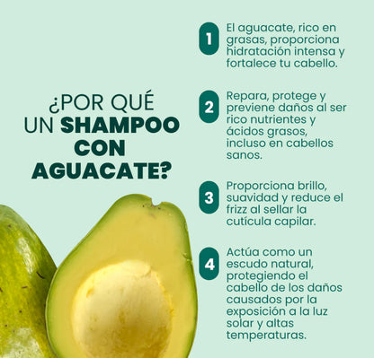 SHAMPOO DE AGUACATE
