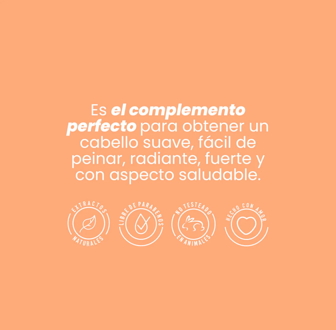 ACONDICONADOR DE GINSENG