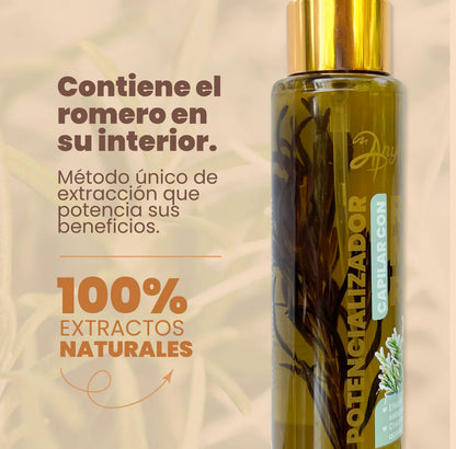 Potencializador de romero