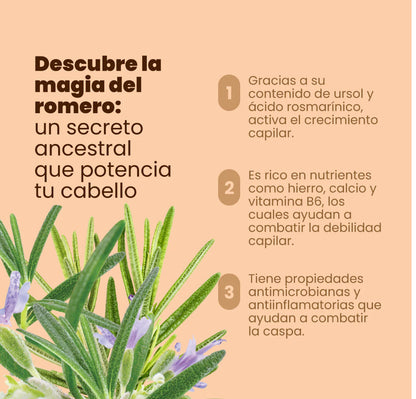 BIOTERAPIA CAPILAR CON ROMERO Y BIOELIXIR