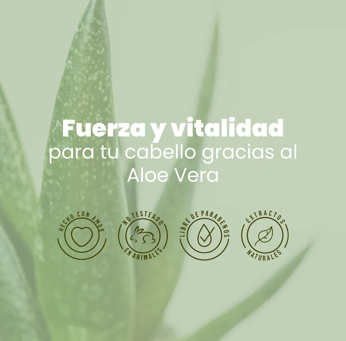 SHAMPOO DE ALOE VERA