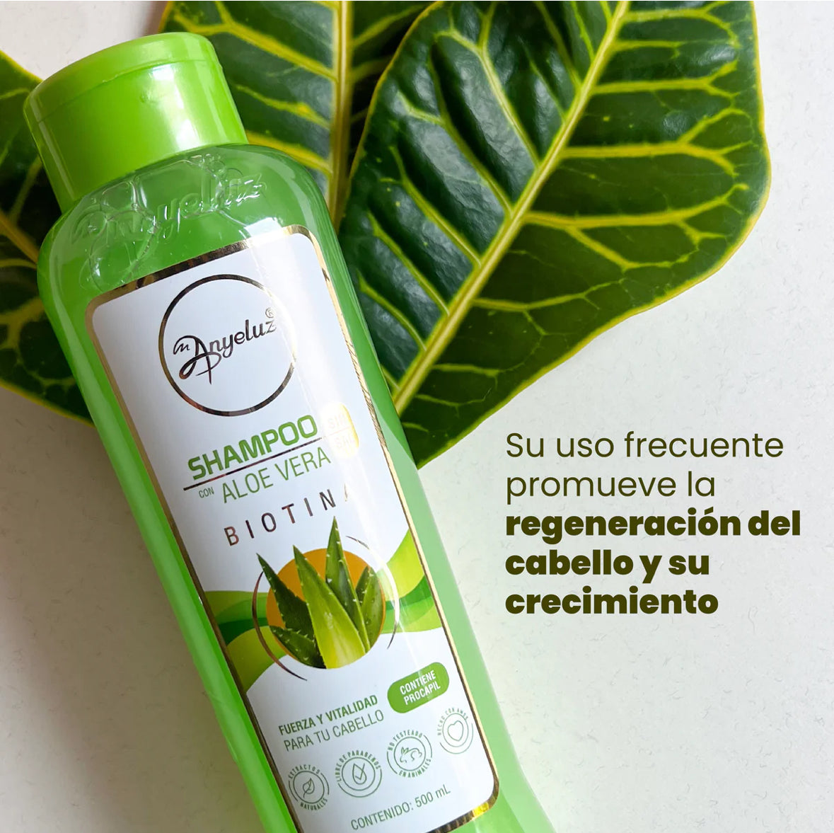 SHAMPOO DE ALOE VERA